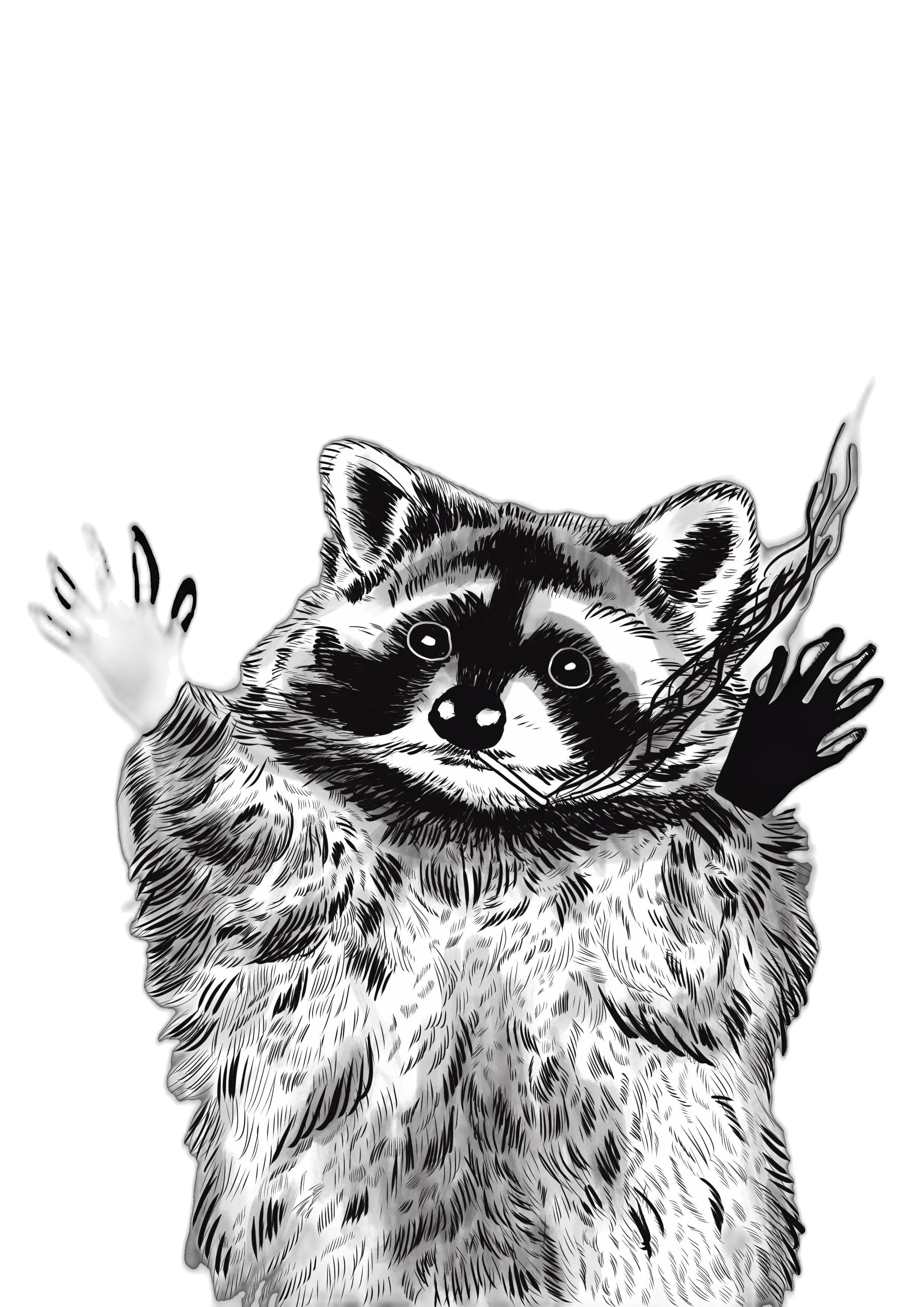 Ink drawing of a raccoon with both little hands raised. Art by RKV.